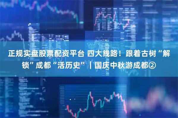 正规实盘股票配资平台 四大线路！跟着古树“解锁”成都“活历史”｜国庆中秋游成都②