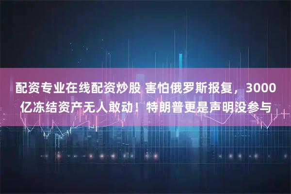 配资专业在线配资炒股 害怕俄罗斯报复，3000亿冻结资产无人敢动！特朗普更是声明没参与