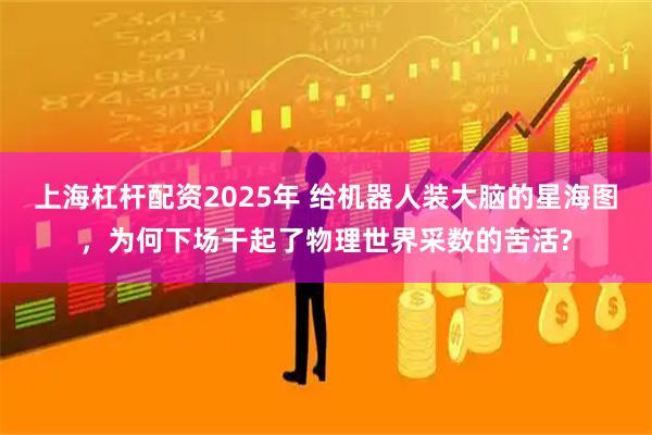 上海杠杆配资2025年 给机器人装大脑的星海图，为何下场干起了物理世界采数的苦活?