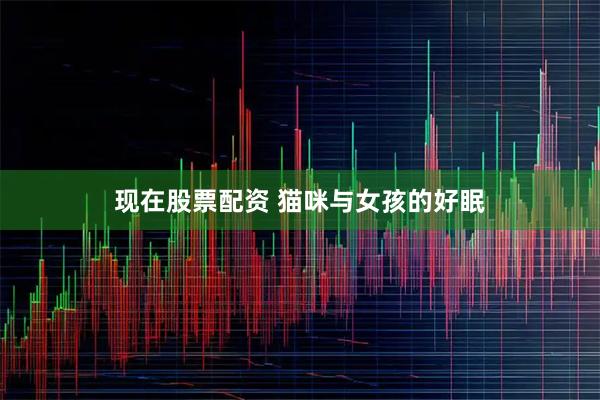 现在股票配资 猫咪与女孩的好眠